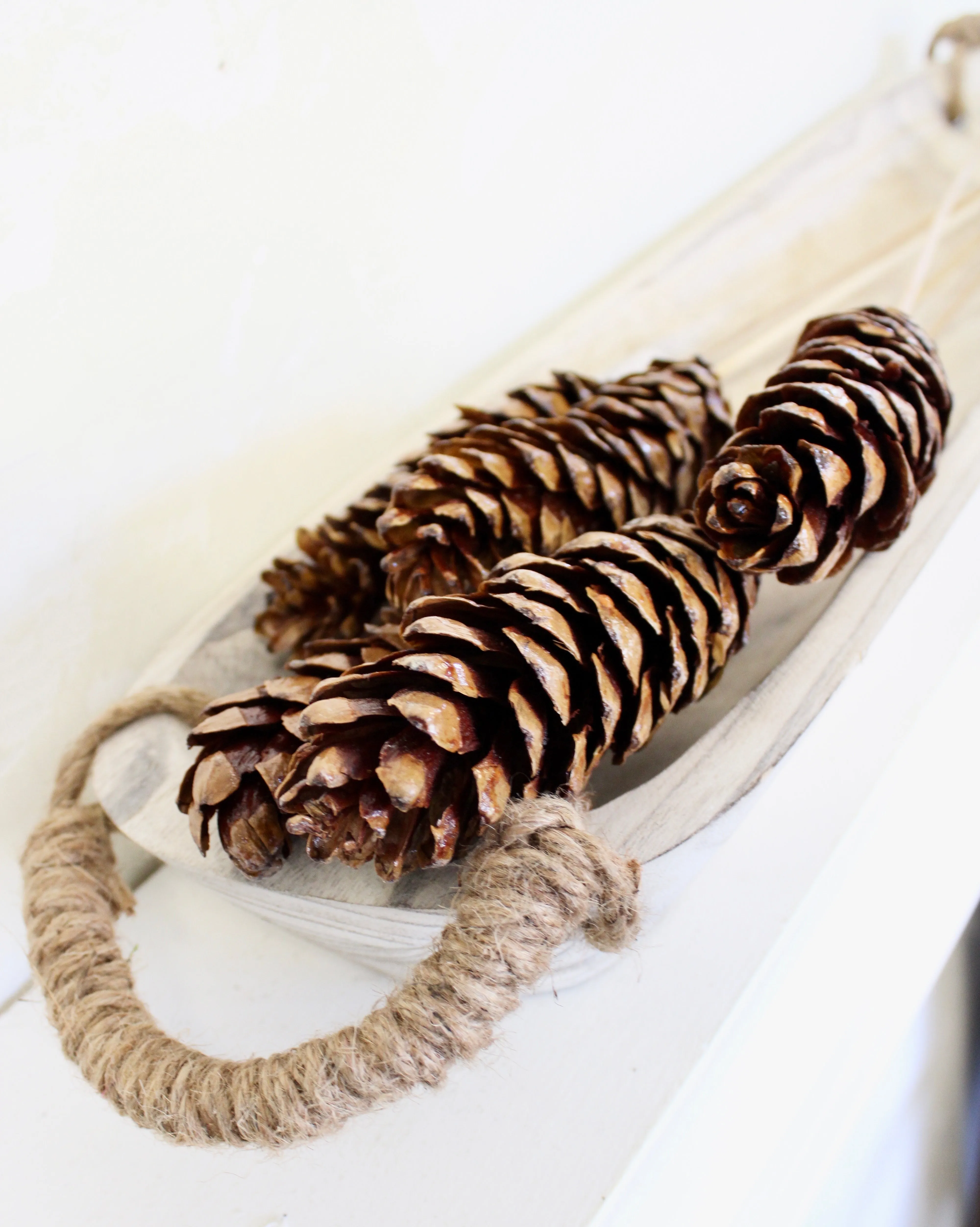 Strobus Pine Cone Bundle